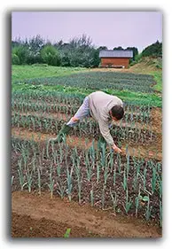 Etre Et Boulot. Bio'Colis